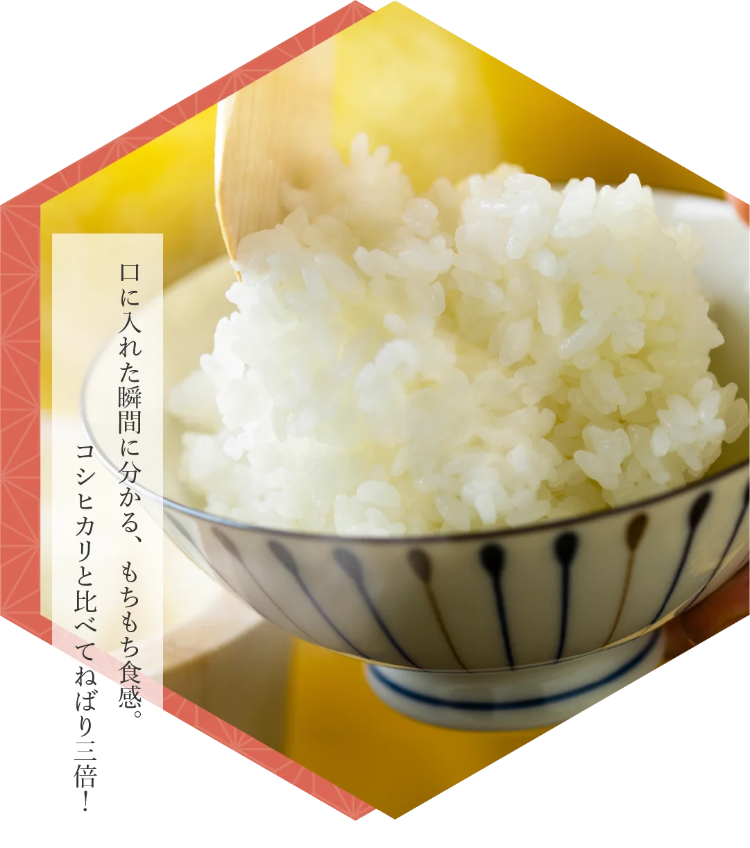口に入れた瞬間に分かる、もちもち食感。コシヒカリと比べてねばり三倍！