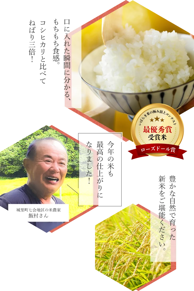 口に入れた瞬間に分かる、もちもち食感。コシヒカリと比べてねばり三倍！　いばらき米の極み頂上コンテスト　最優秀賞受賞米　ローズドール賞　城里町七会地区の米農家　飯村さん「今年の米も最高の仕上がりになりました！」　豊かな自然で育った新米をご堪能ください。