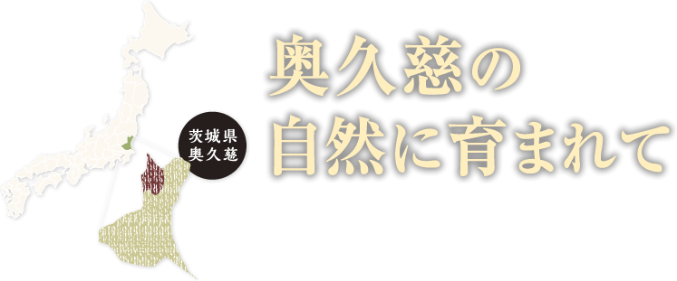 【茨城県奥久慈】奥久慈の自然に育まれて