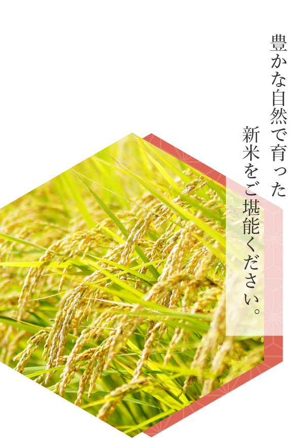 豊かな自然で育った新米をご堪能ください。